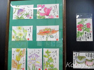 G莆W